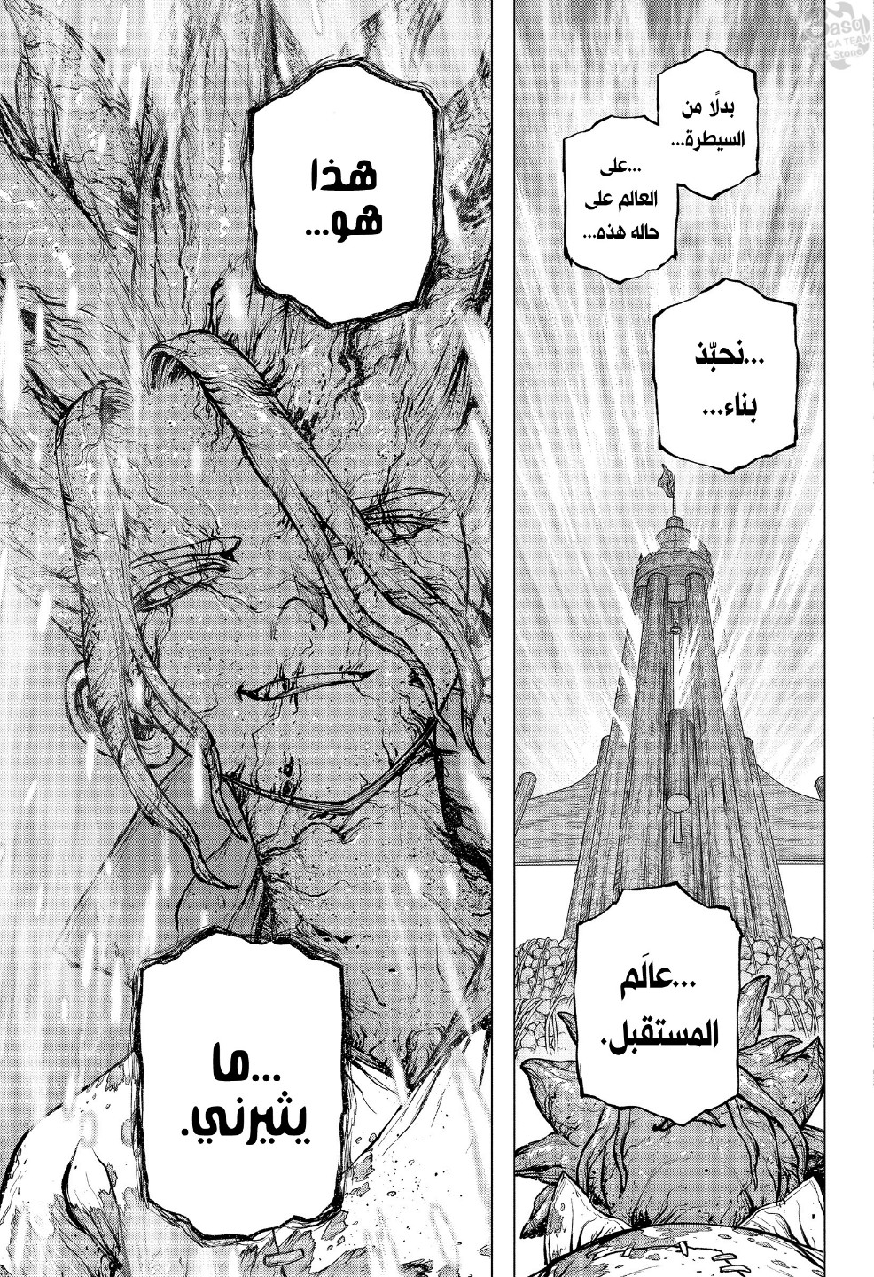 Dr. Stone: Chapter 193 - Page 8