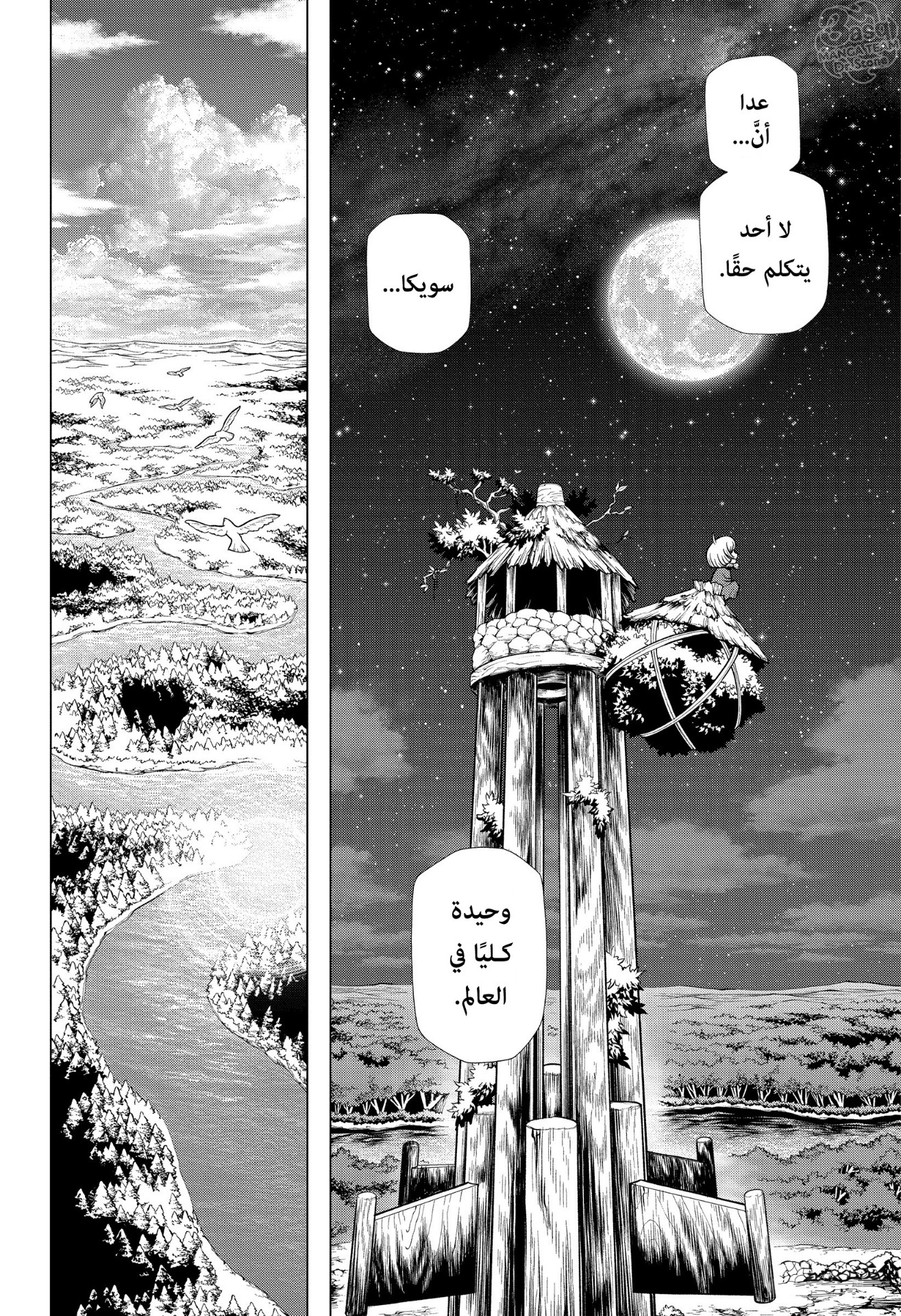 Dr. Stone: Chapter 195 - Page 8
