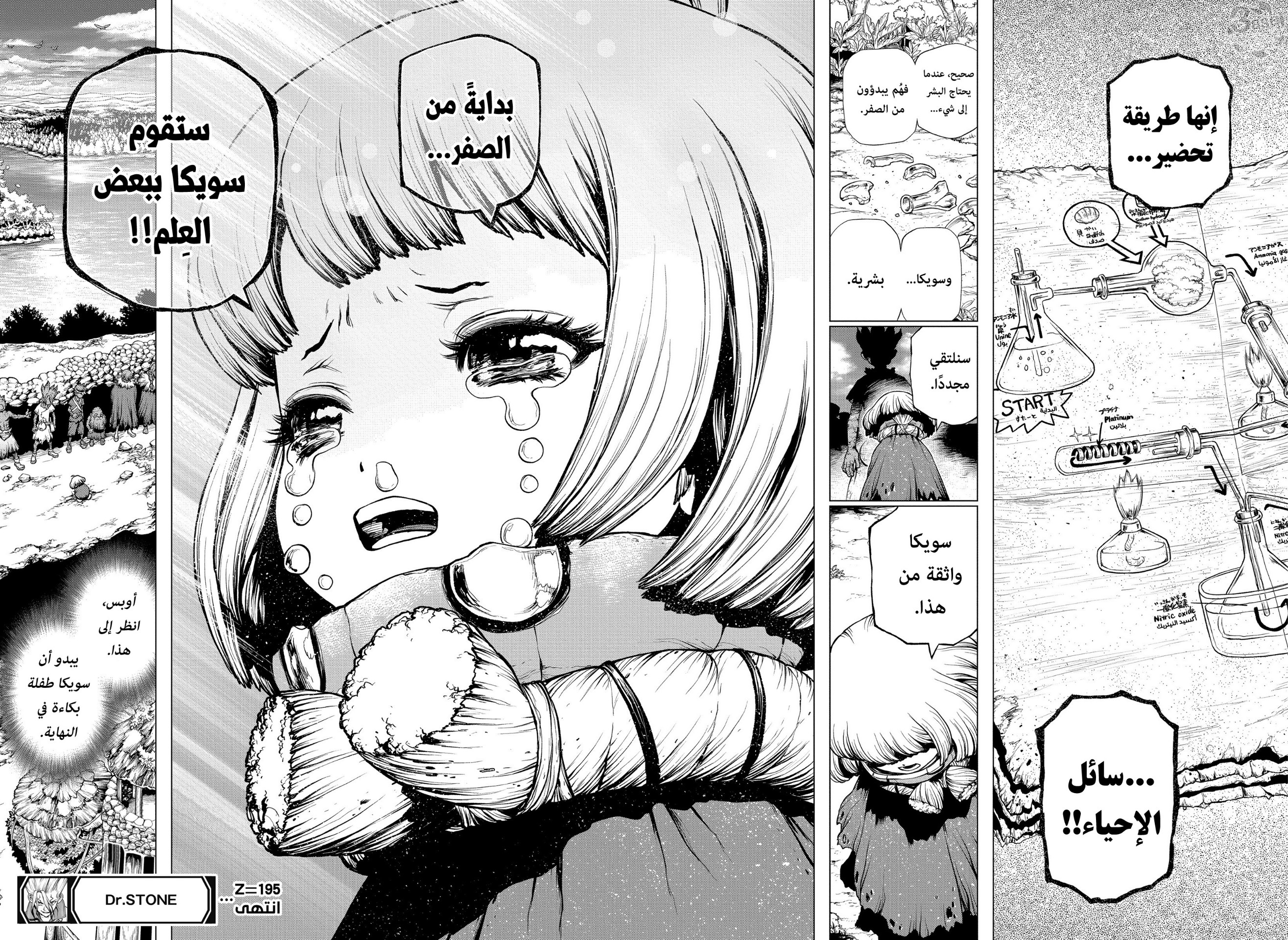 Dr. Stone: Chapter 195 - Page 17