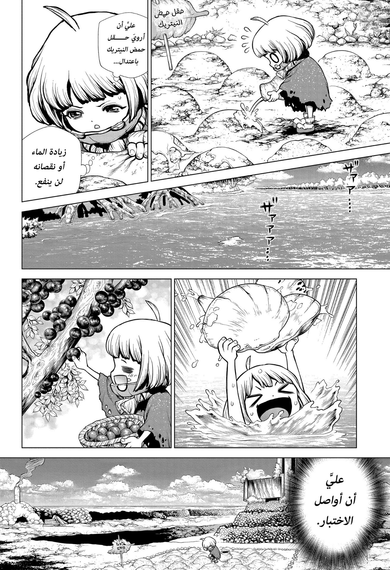 Dr. Stone: Chapter 196 - Page 13