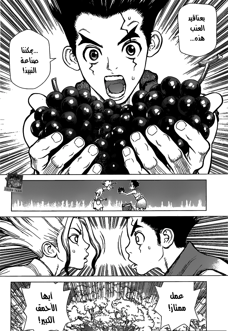 Dr. Stone: Chapter 2 - Page 13
