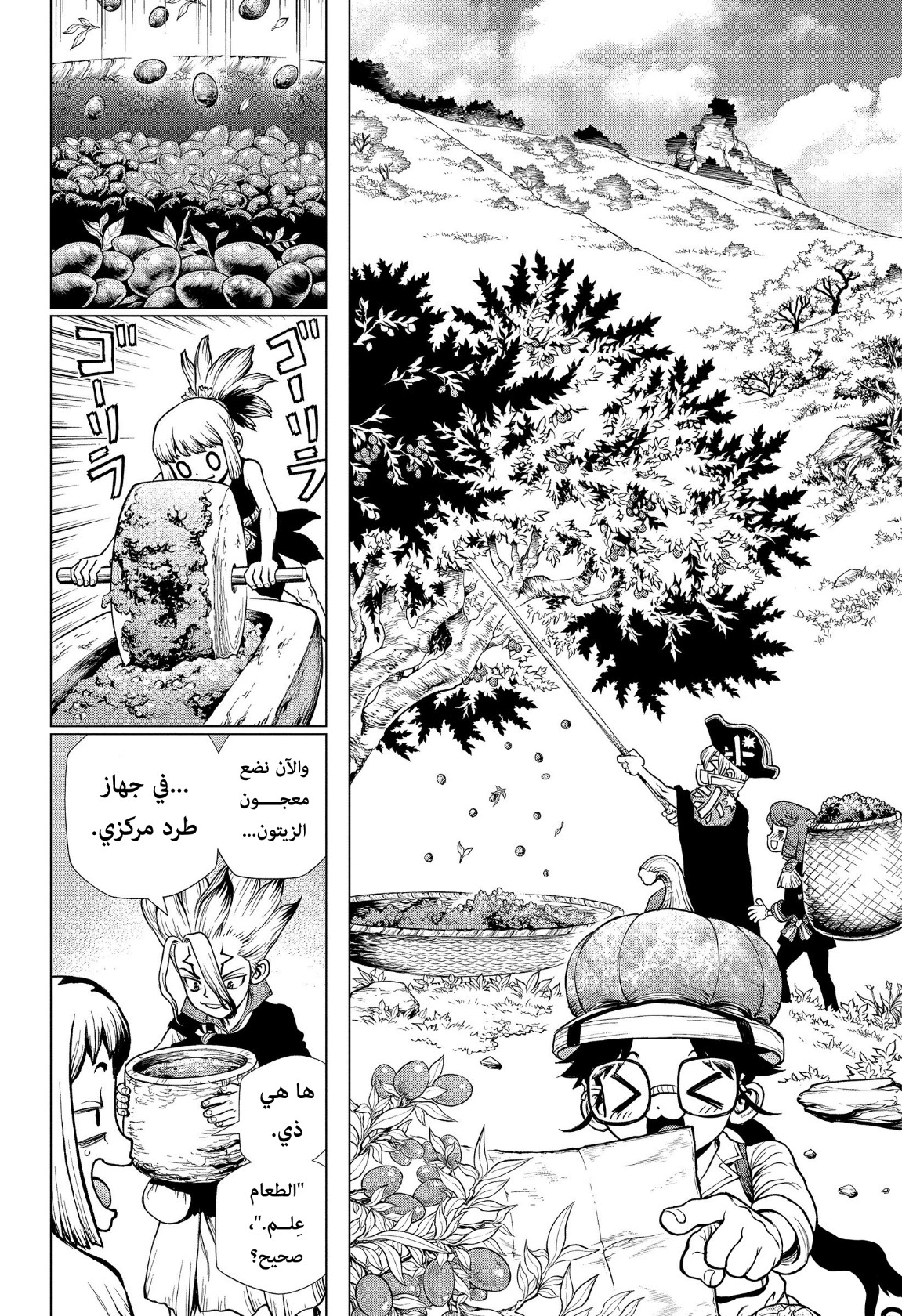Dr. Stone: Chapter 202 - Page 6
