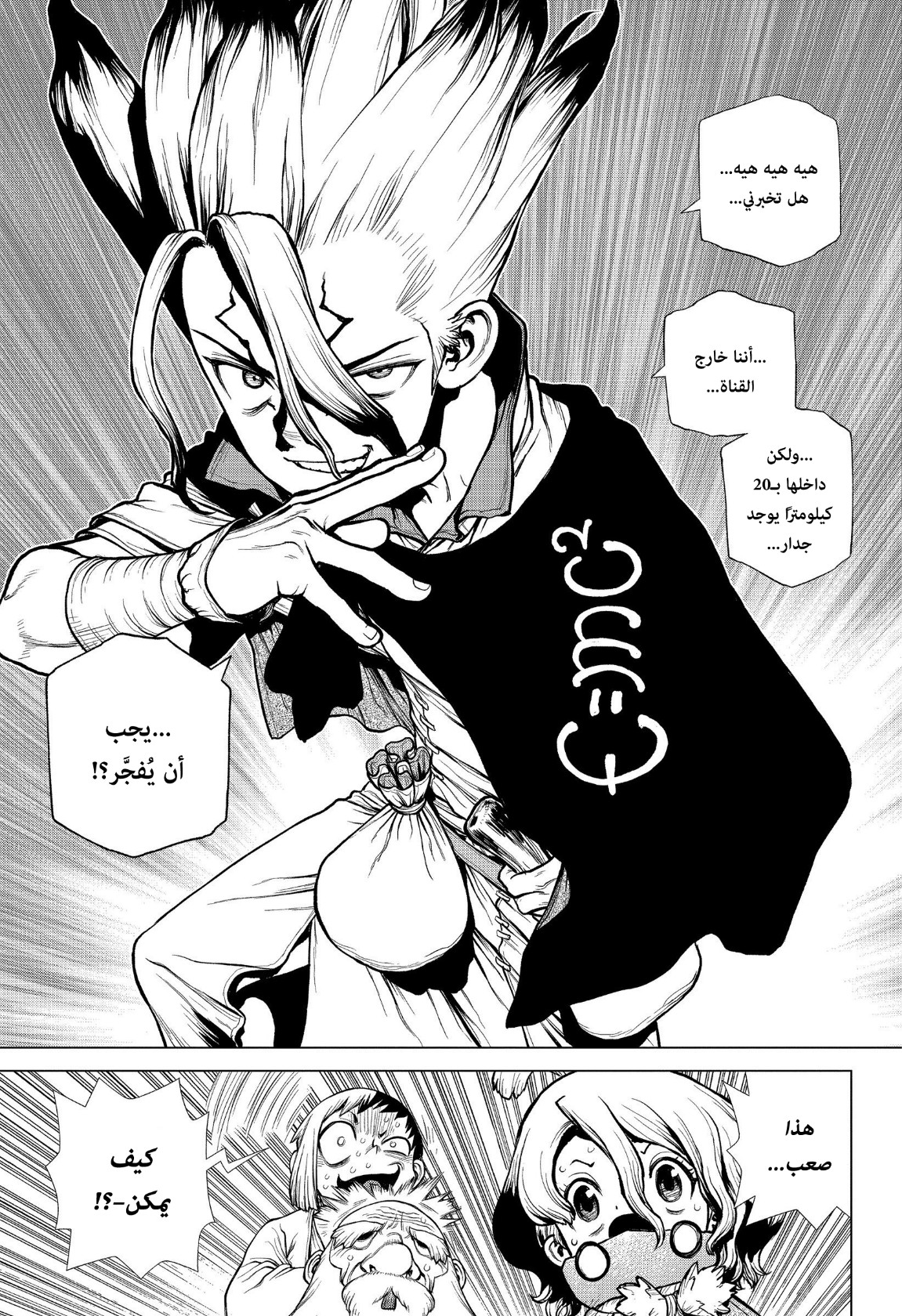 Dr. Stone: Chapter 203 - Page 13