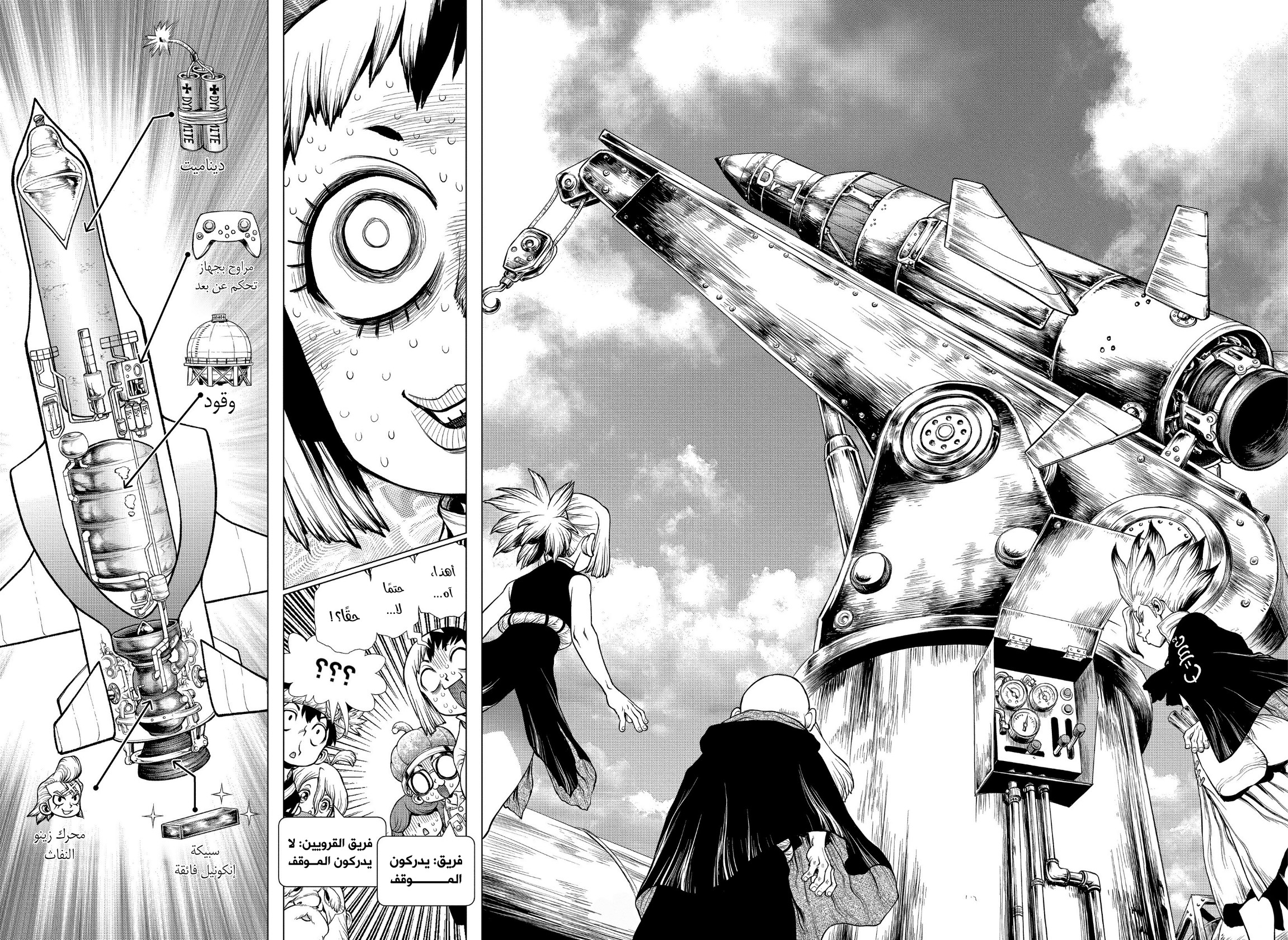 Dr. Stone: Chapter 203 - Page 14