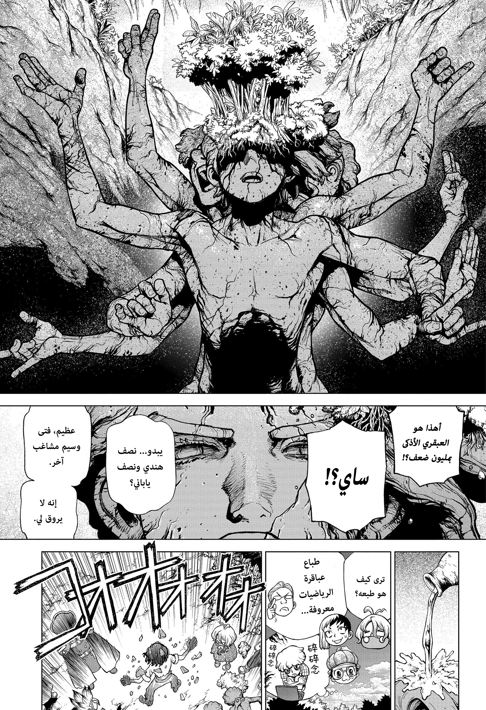 Dr. Stone: Chapter 204 - Page 13