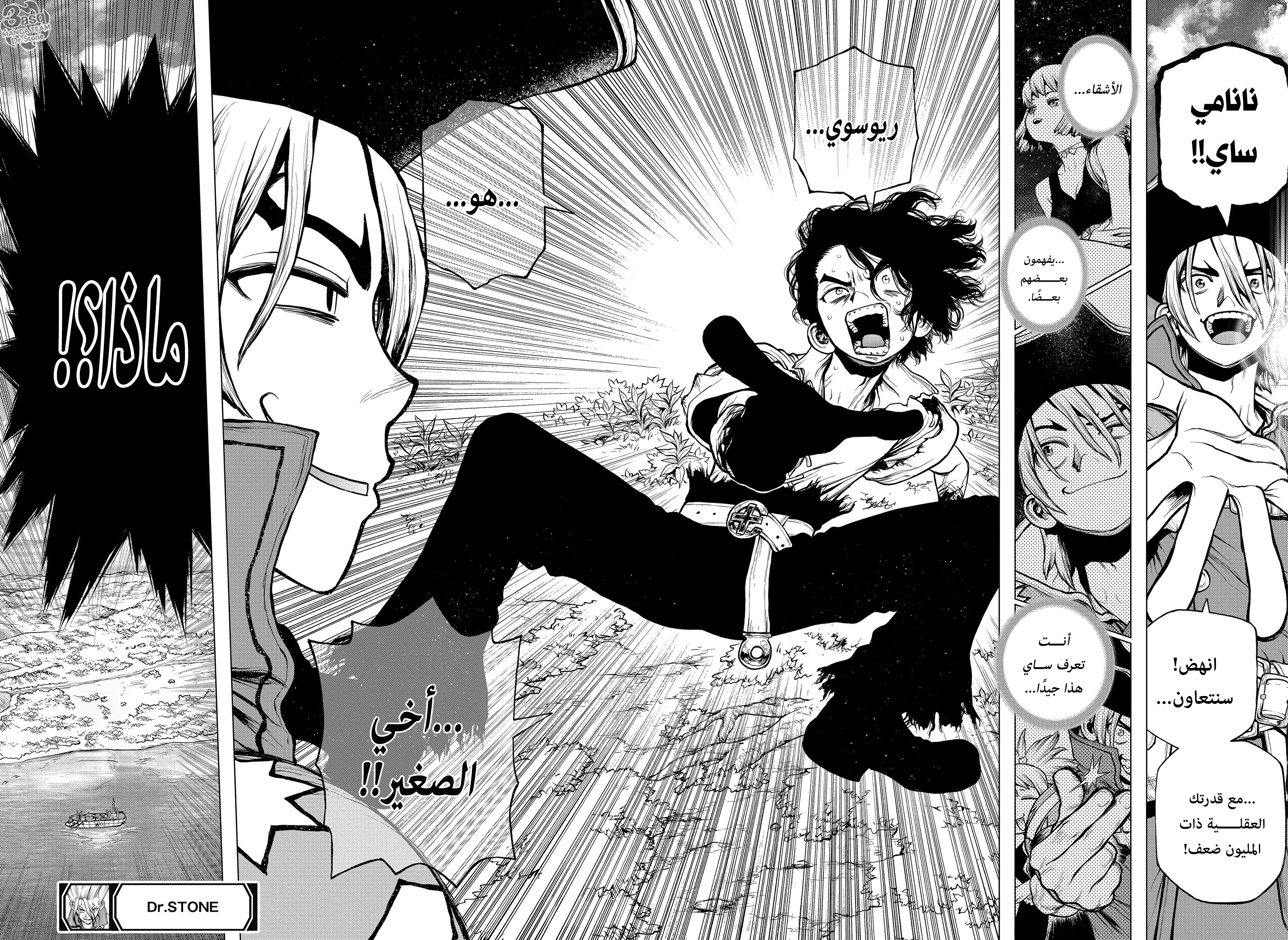 Dr. Stone: Chapter 204 - Page 17
