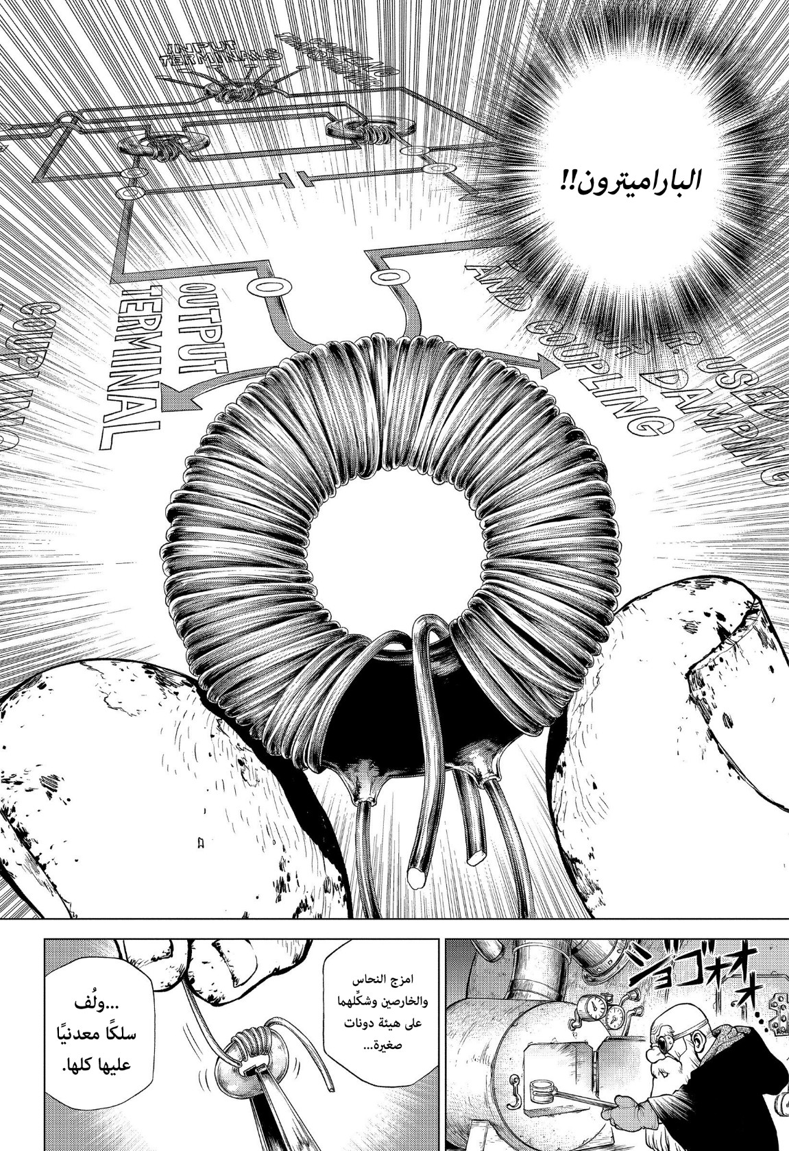 Dr. Stone: Chapter 206 - Page 13