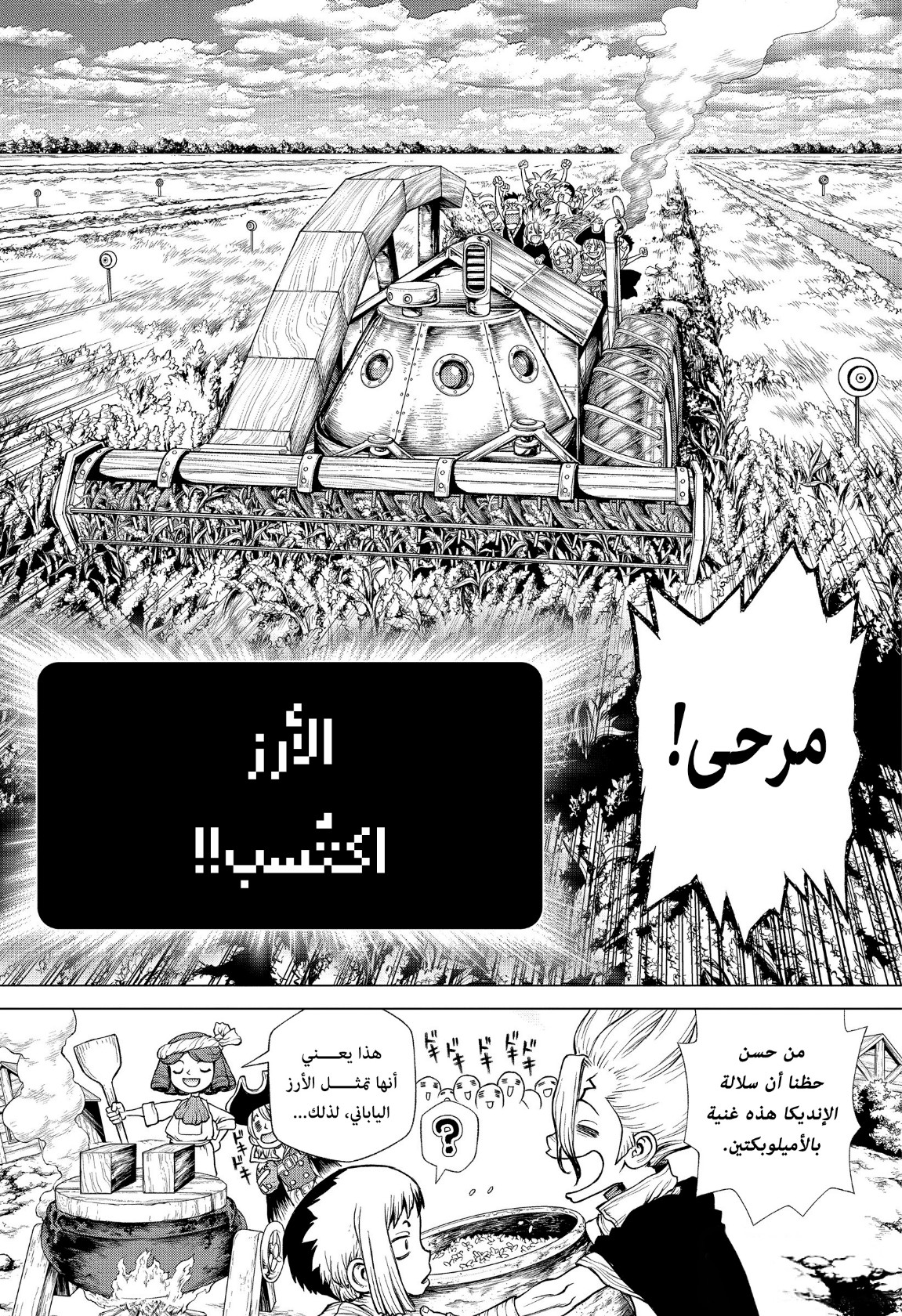 Dr. Stone: Chapter 211 - Page 13