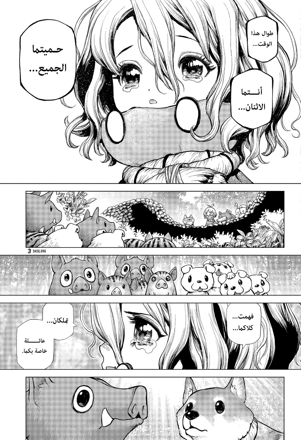 Dr. Stone: Chapter 212 - Page 14