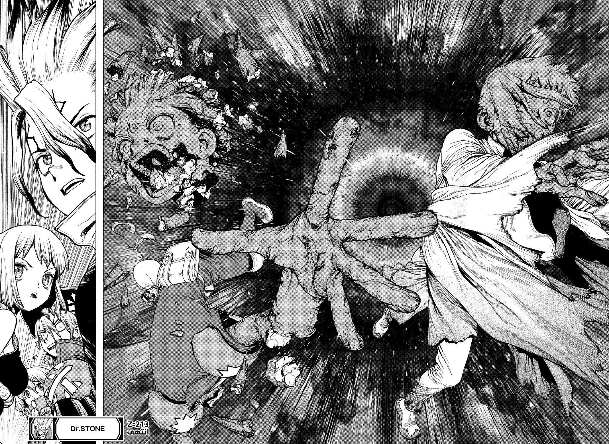 Dr. Stone: Chapter 213 - Page 19