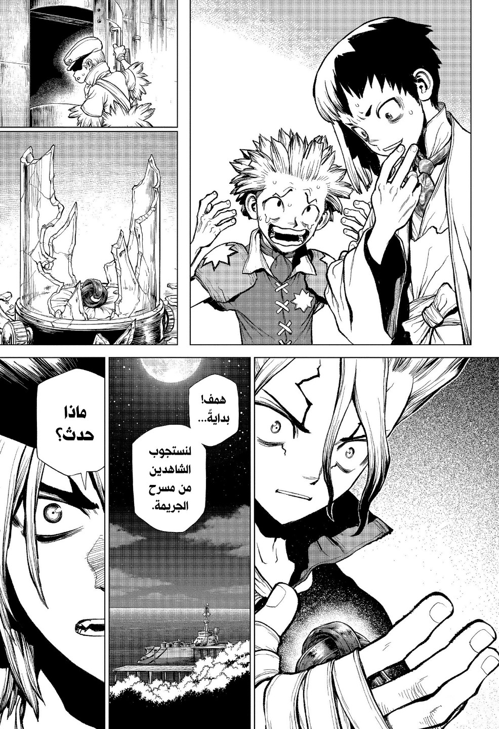 Dr. Stone: Chapter 214 - Page 8