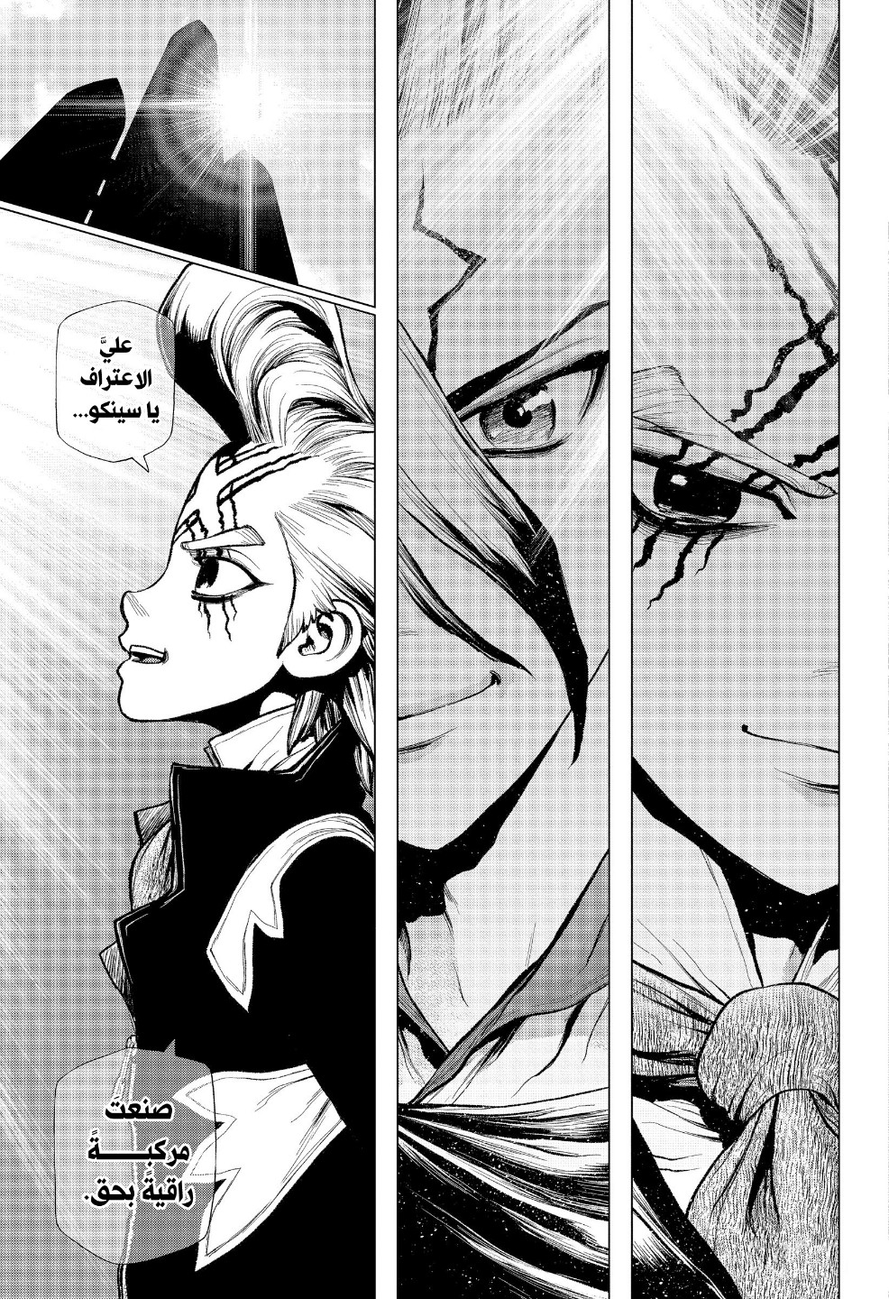 Dr. Stone: Chapter 215 - Page 10