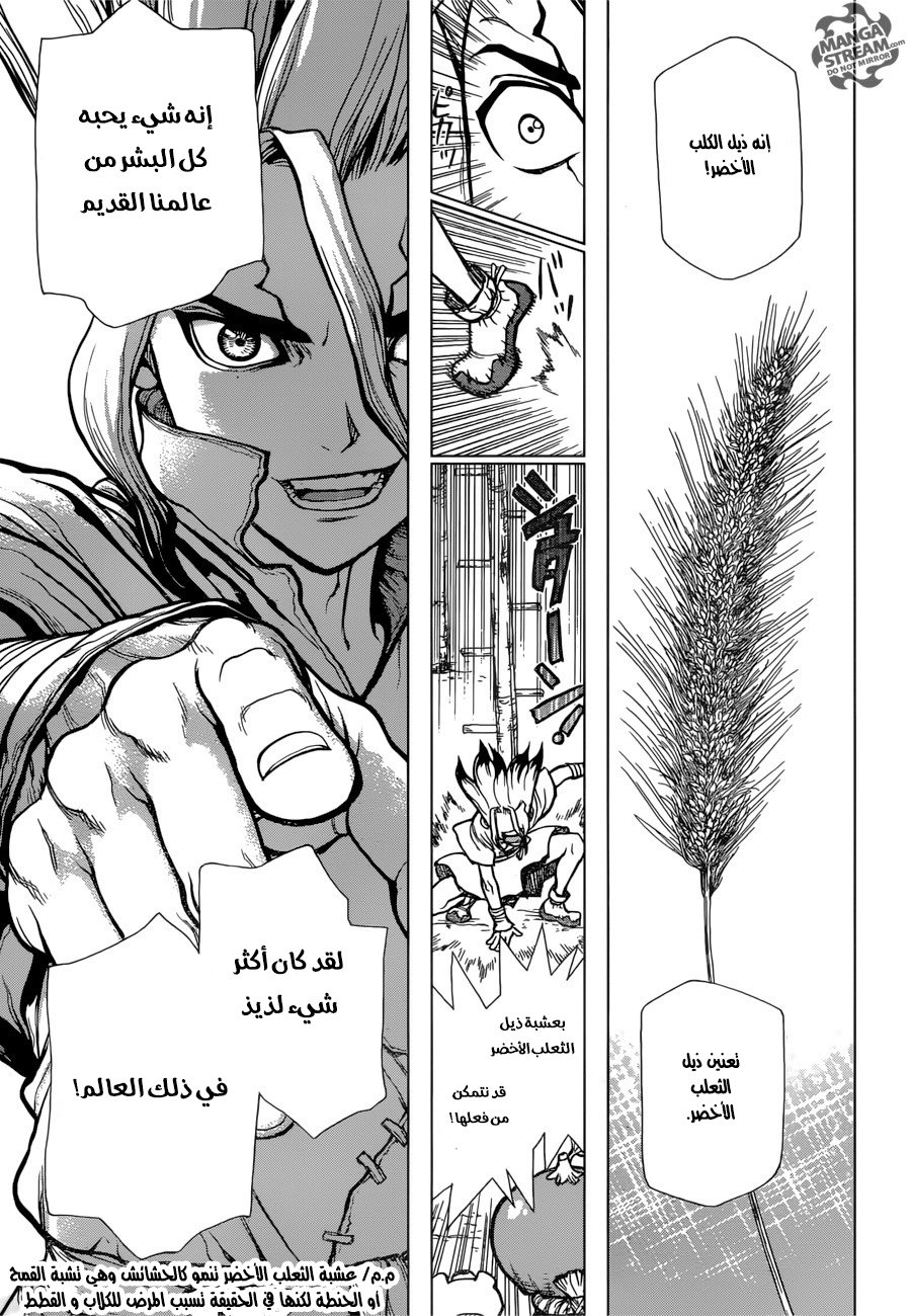 Dr. Stone: Chapter 22 - Page 10