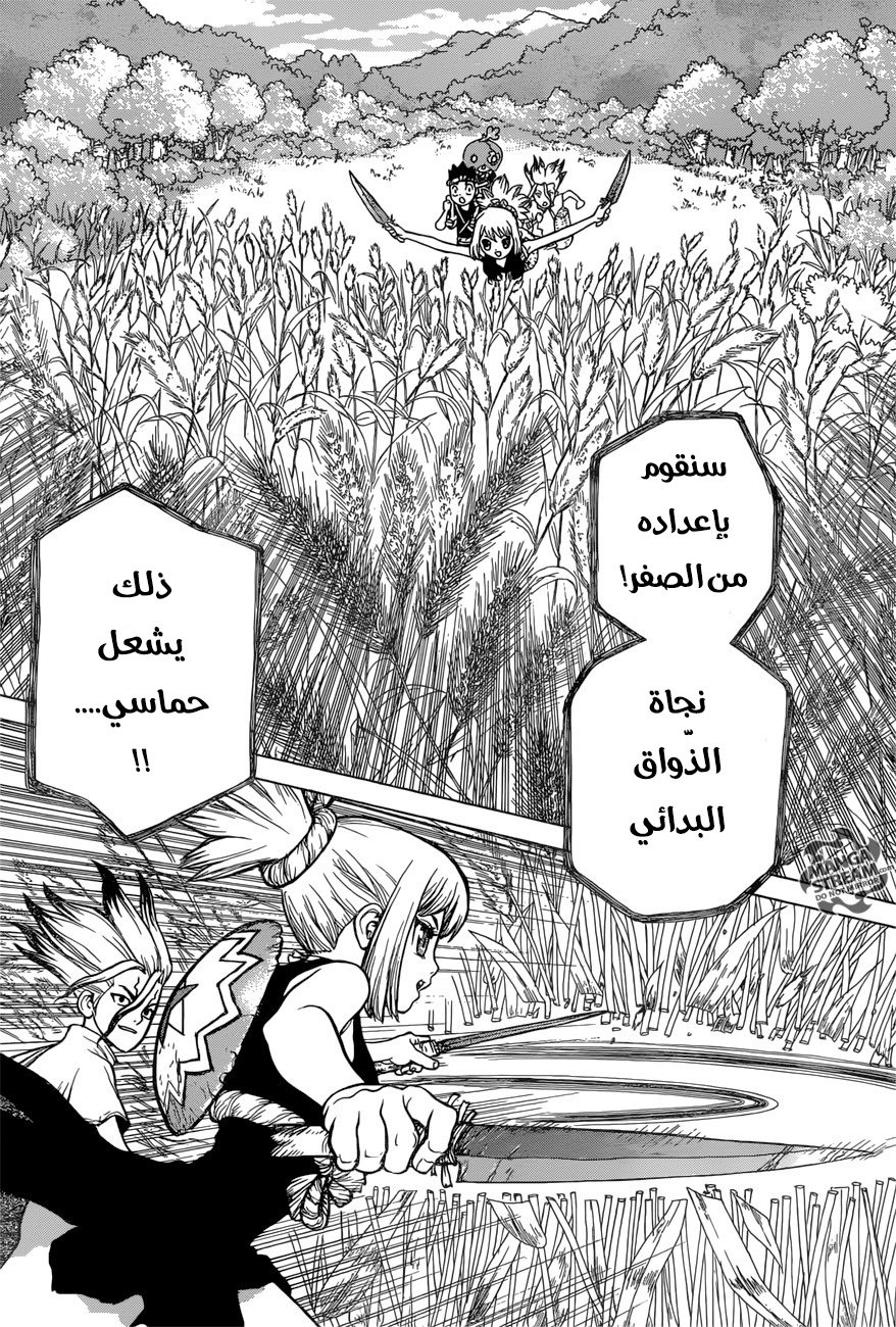 Dr. Stone: Chapter 22 - Page 11