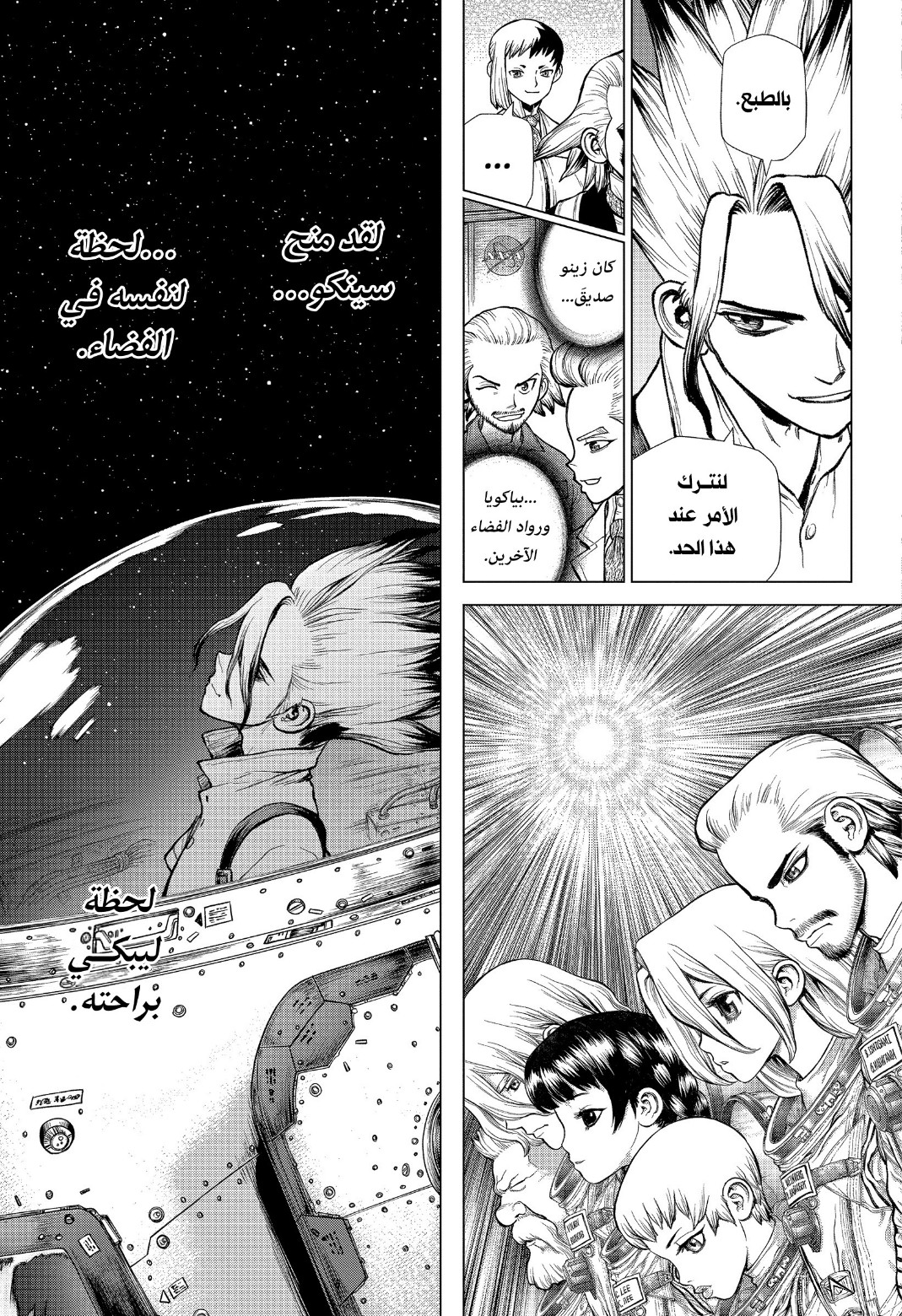 Dr. Stone: Chapter 224 - Page 10