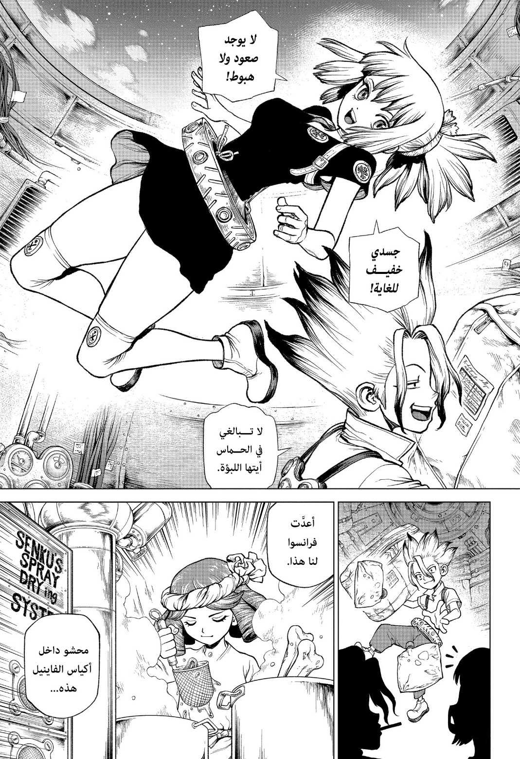 Dr. Stone: Chapter 224 - Page 13