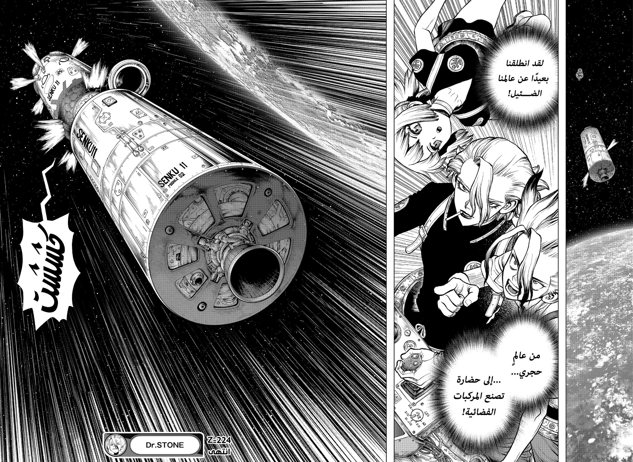 Dr. Stone: Chapter 224 - Page 17