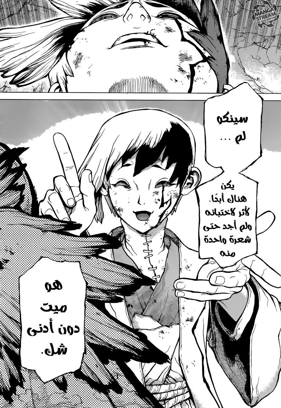 Dr. Stone: Chapter 26 - Page 19