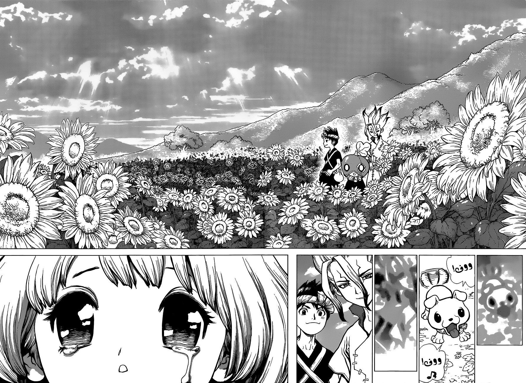 Dr. Stone: Chapter 28 - Page 14