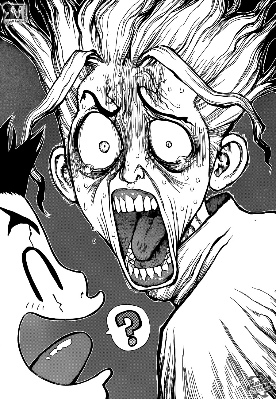 Dr. Stone: Chapter 5 - Page 3