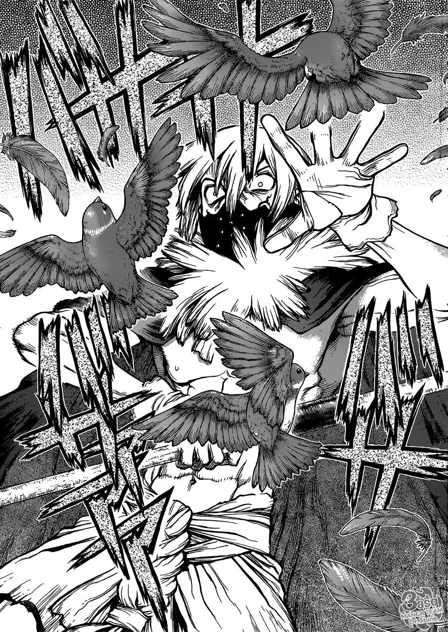 Dr. Stone: Chapter 80 - Page 15