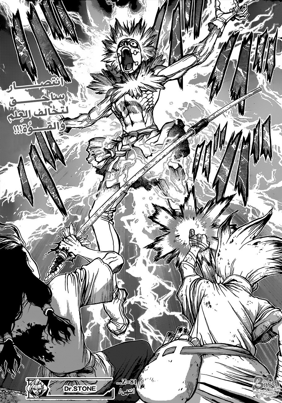 Dr. Stone: Chapter 81 - Page 17
