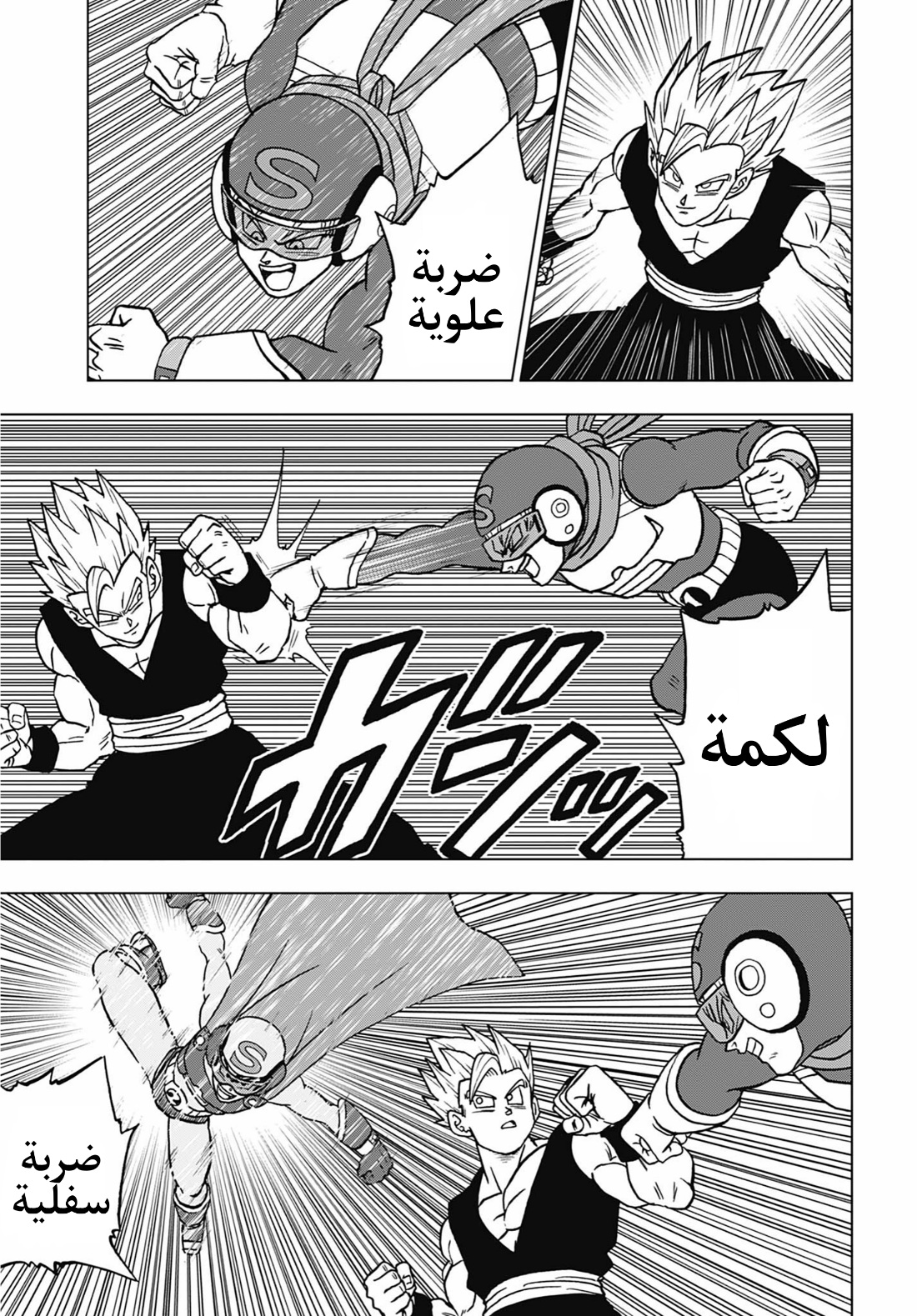 Dragon Ball Super: Chapter 102 - Page 13