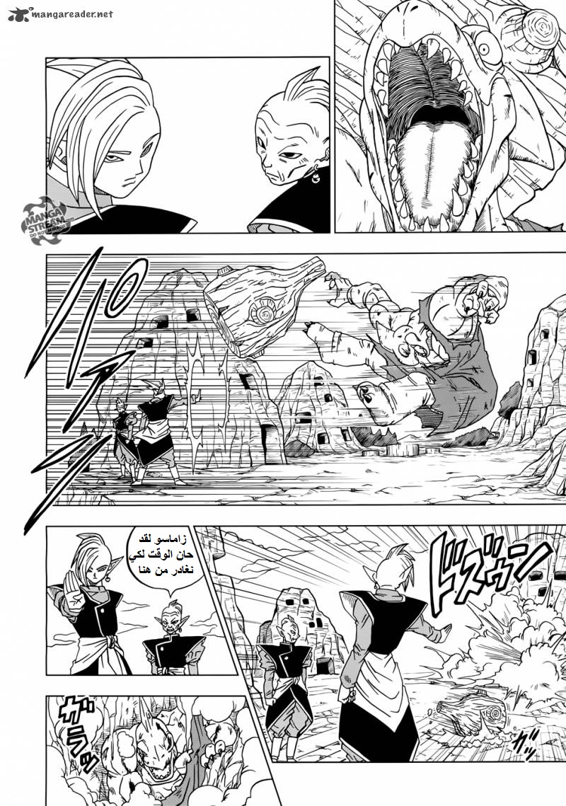 Dragon Ball Super: Chapter 17 - Page 13