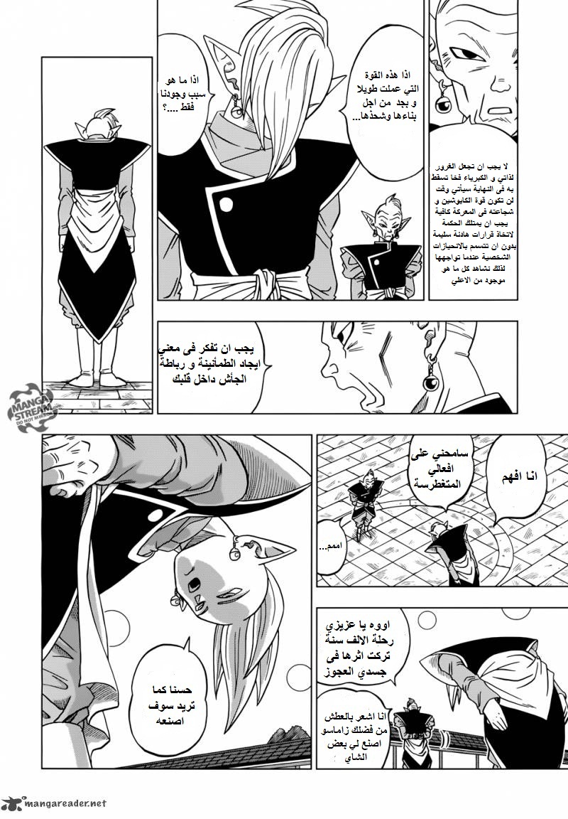 Dragon Ball Super: Chapter 17 - Page 19