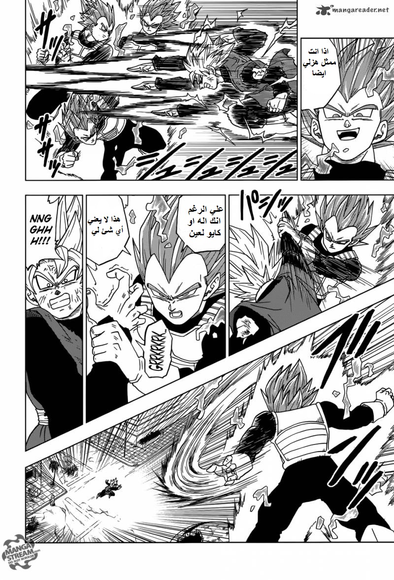 Dragon Ball Super: Chapter 19 - Page 24