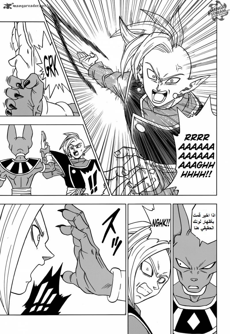 Dragon Ball Super: Chapter 19 - Page 29