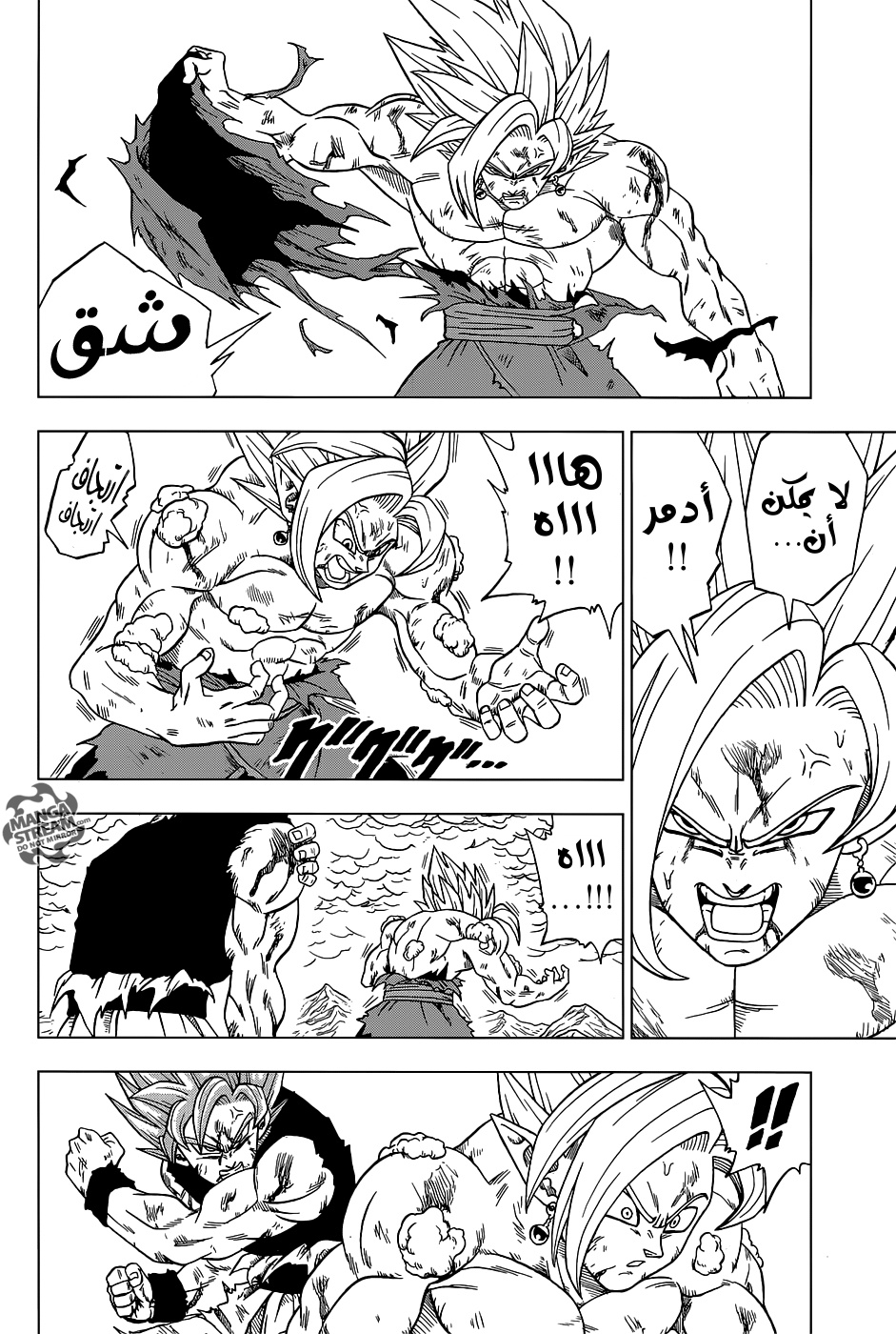 Dragon Ball Super: Chapter 25 - Page 11