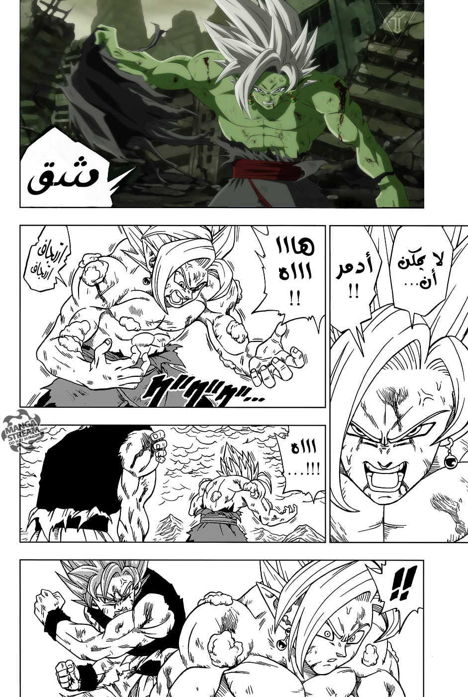 Dragon Ball Super: Chapter 25 - Page 13