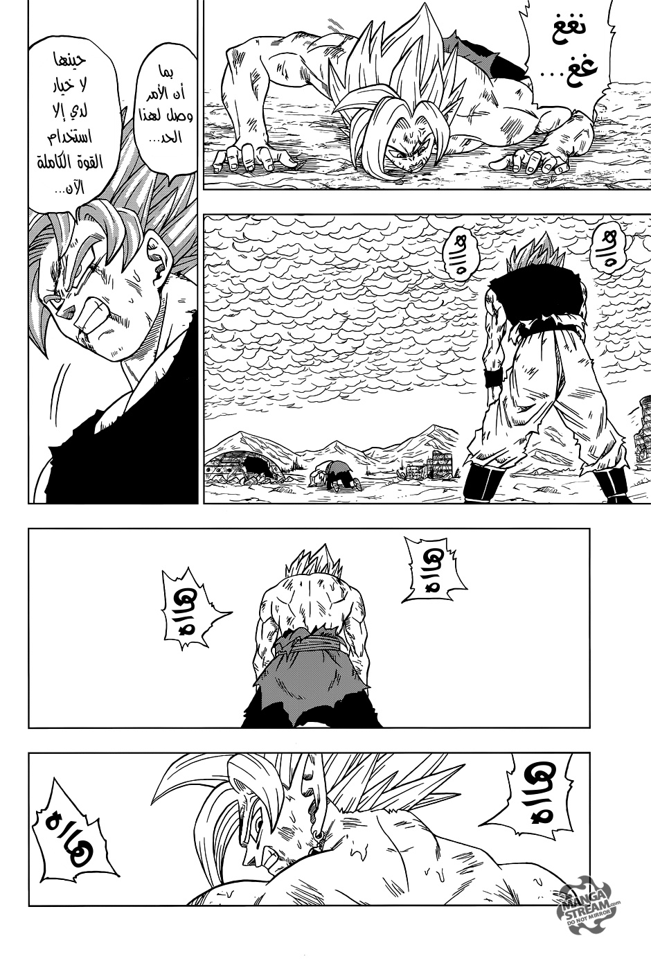 Dragon Ball Super: Chapter 25 - Page 15