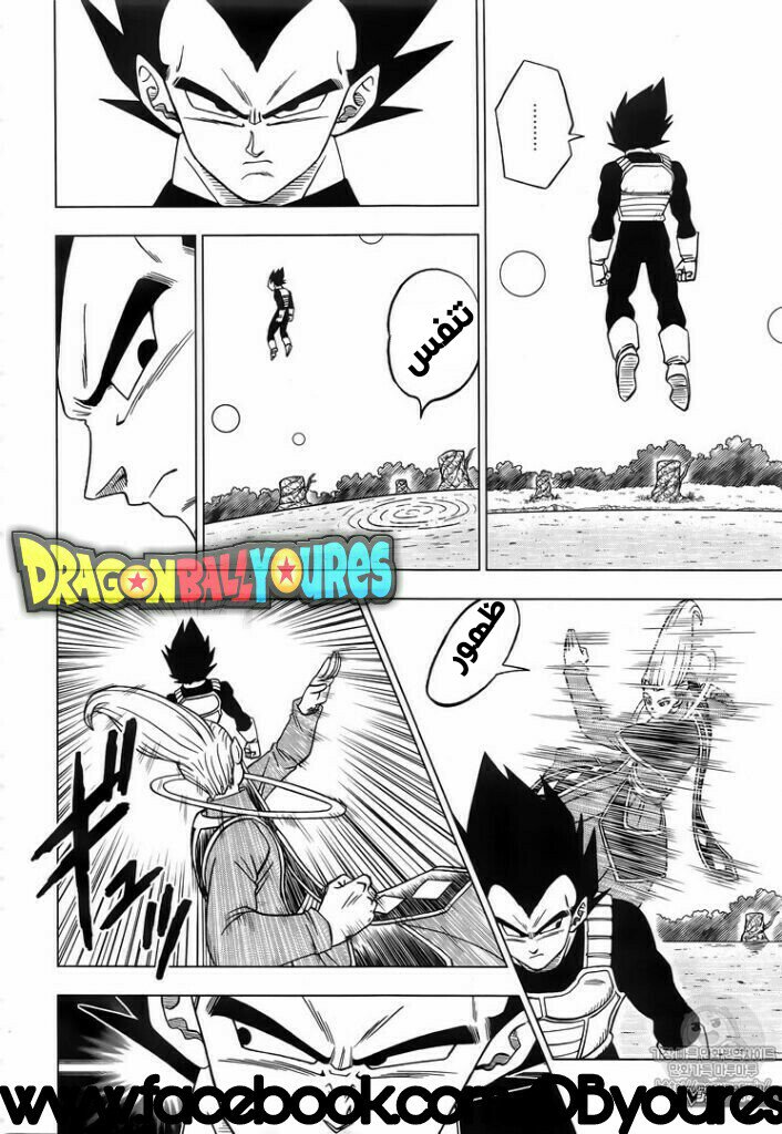 Dragon Ball Super: Chapter 27 - Page 14