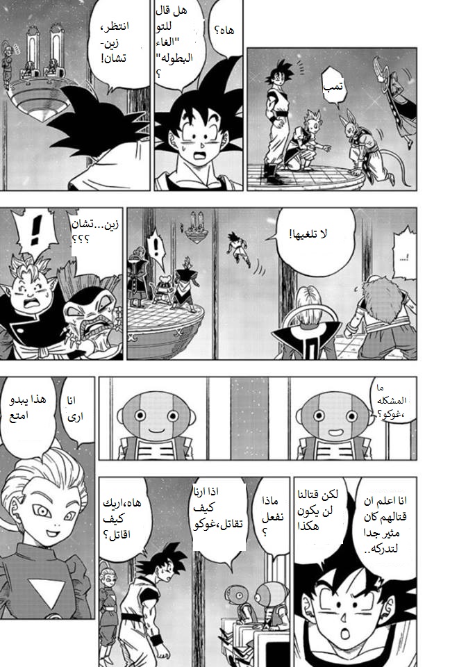 Dragon Ball Super: Chapter 29 - Page 17