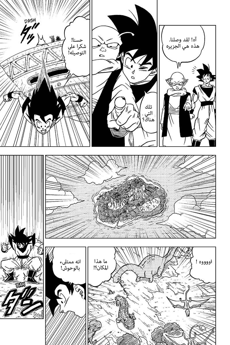 Dragon Ball Super: Chapter 31 - Page 17
