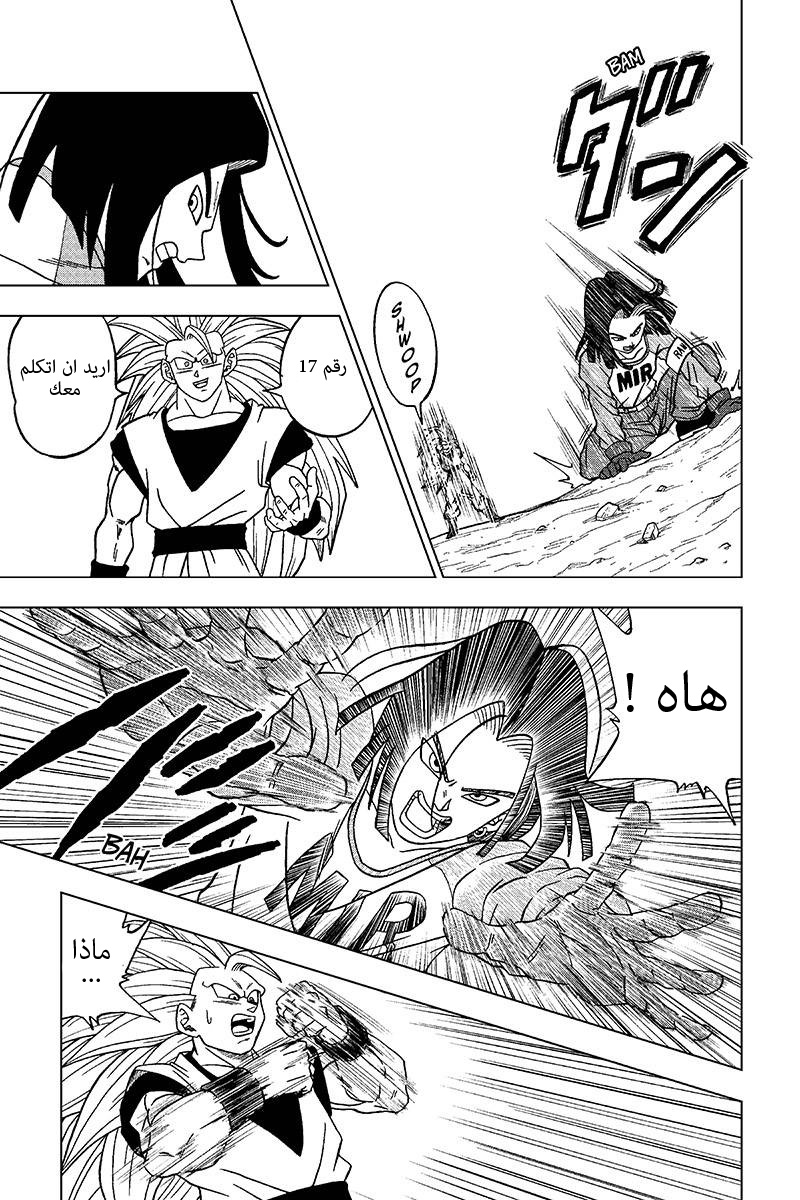 Dragon Ball Super: Chapter 31 - Page 33