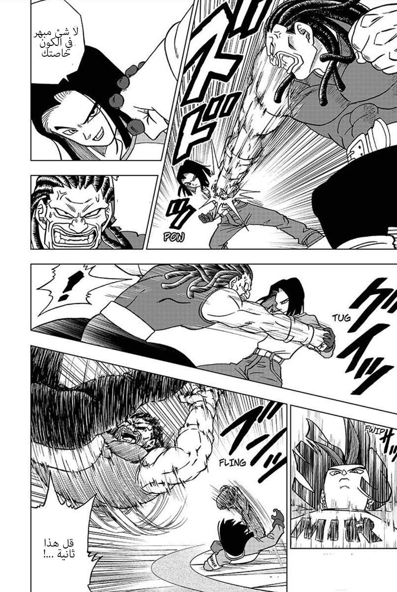 Dragon Ball Super: Chapter 33 - Page 27