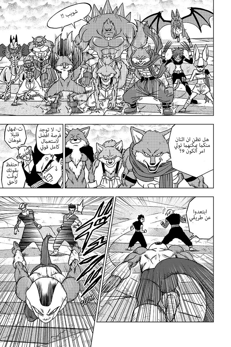 Dragon Ball Super: Chapter 34 - Page 24