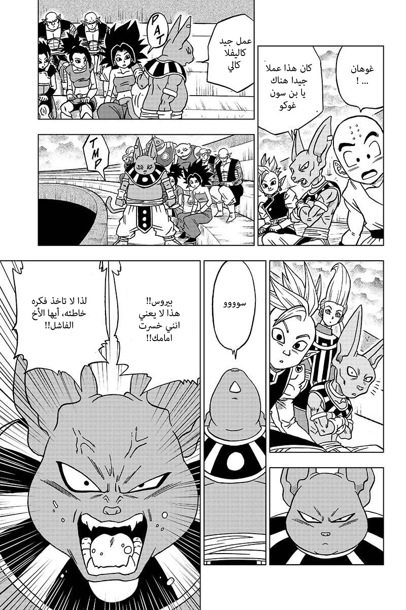 Dragon Ball Super: Chapter 39 - Page 15