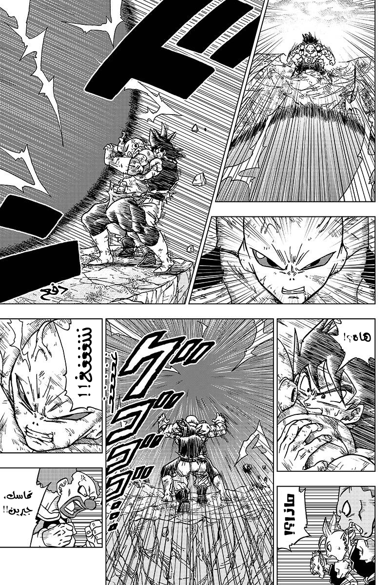 Dragon Ball Super: Chapter 42 - Page 18