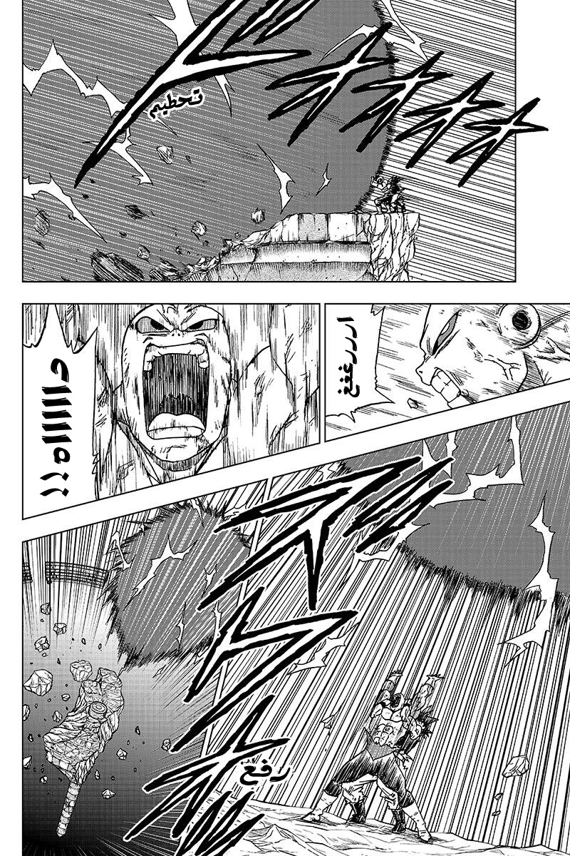 Dragon Ball Super: Chapter 42 - Page 19