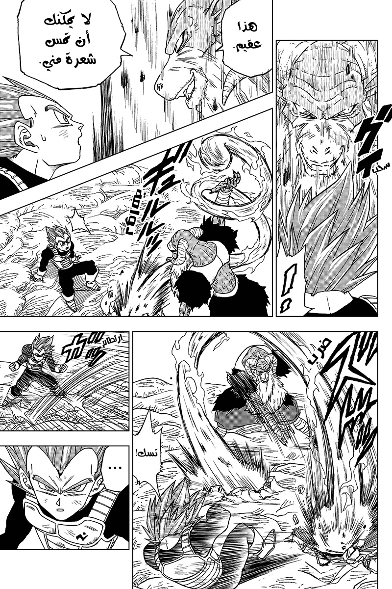 Dragon Ball Super: Chapter 45 - Page 14
