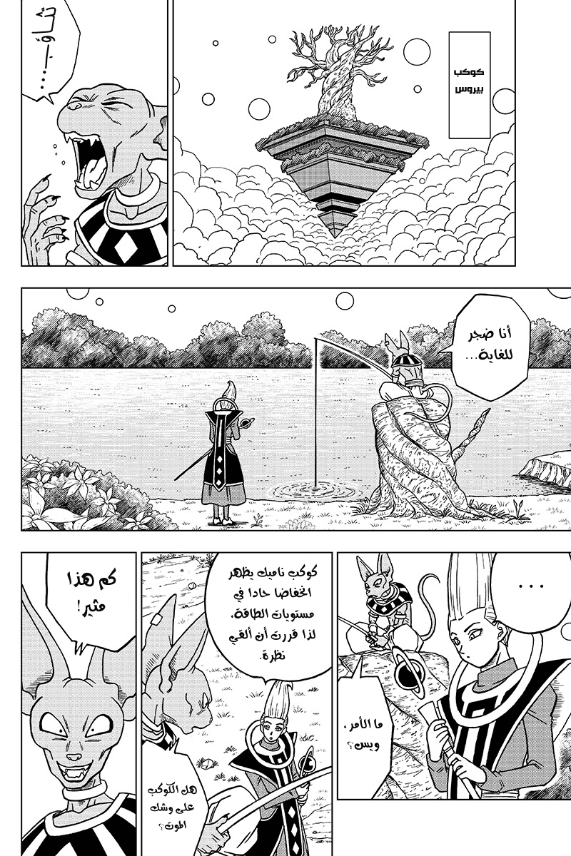 Dragon Ball Super: Chapter 46 - Page 10