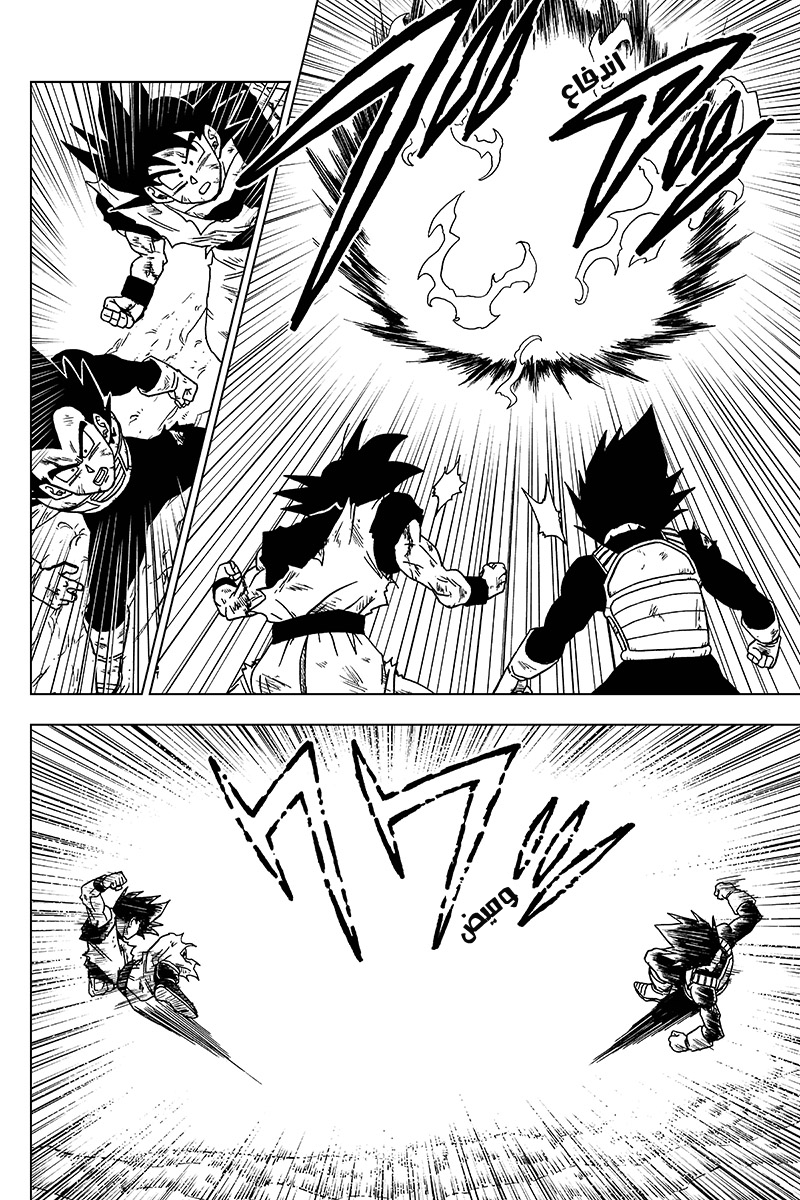 Dragon Ball Super: Chapter 46 - Page 14