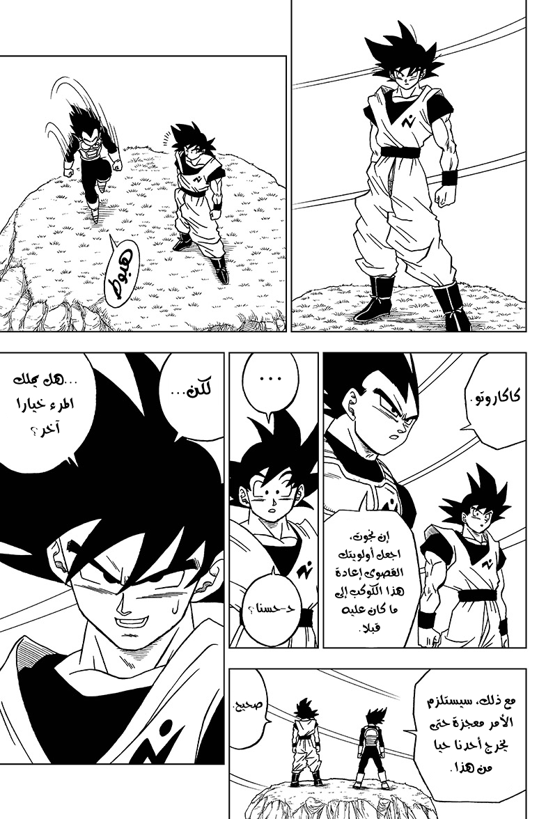 Dragon Ball Super: Chapter 47 - Page 13