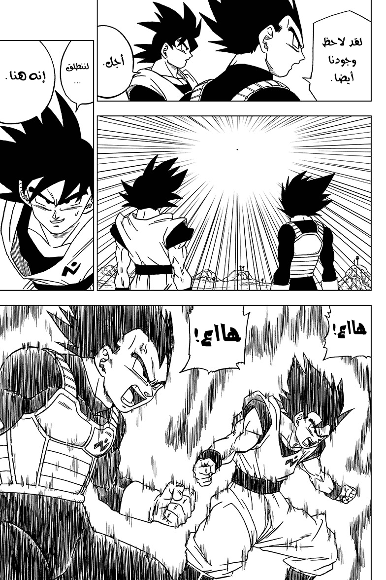 Dragon Ball Super: Chapter 47 - Page 15