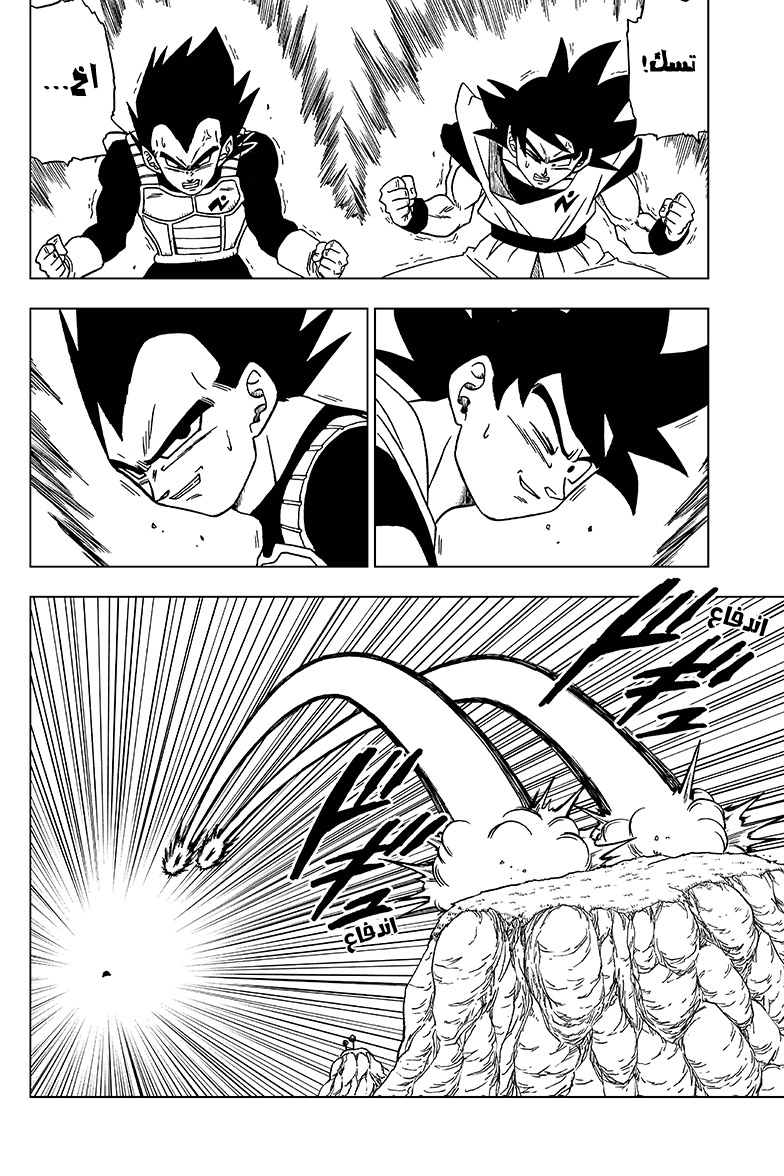 Dragon Ball Super: Chapter 47 - Page 16