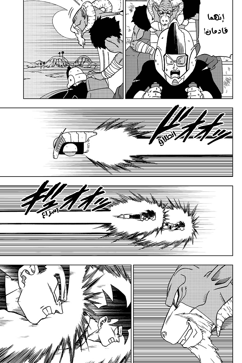 Dragon Ball Super: Chapter 47 - Page 17